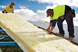 Best Attic Insulation Installation  in Buffalo Grove, IL